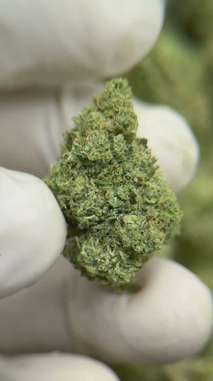 Greenbacks Candy Rain