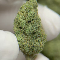 Sour Diesel