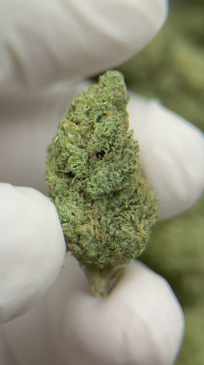 Greenbacks Sour Diesel