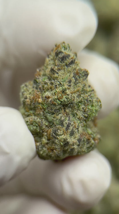 Premium White Wedding