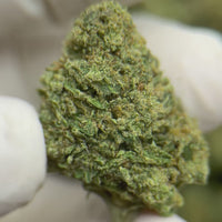 Strawberry Cough