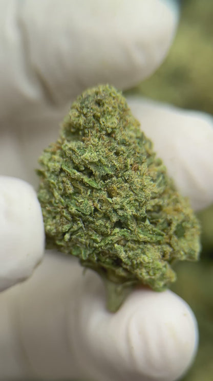 Greenbacks Strawberry Cough